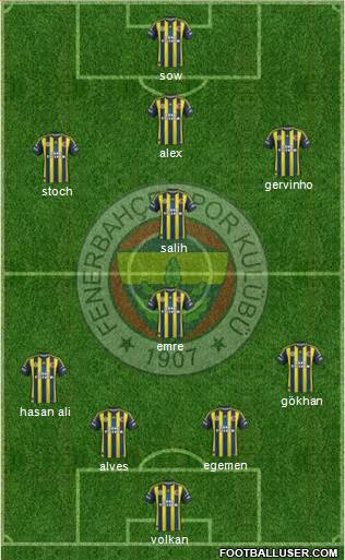 Fenerbahçe SK Formation 2013