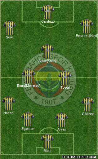 Fenerbahçe SK Formation 2013