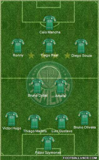 SE Palmeiras Formation 2013