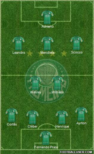 SE Palmeiras Formation 2013