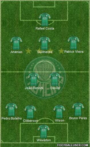 SE Palmeiras Formation 2013