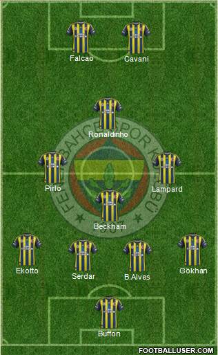 Fenerbahçe SK Formation 2013