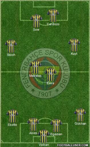 Fenerbahçe SK Formation 2013