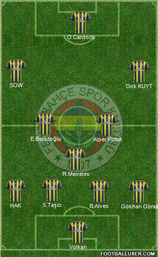 Fenerbahçe SK Formation 2013
