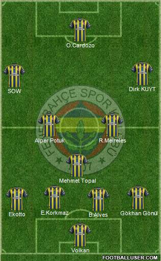 Fenerbahçe SK Formation 2013