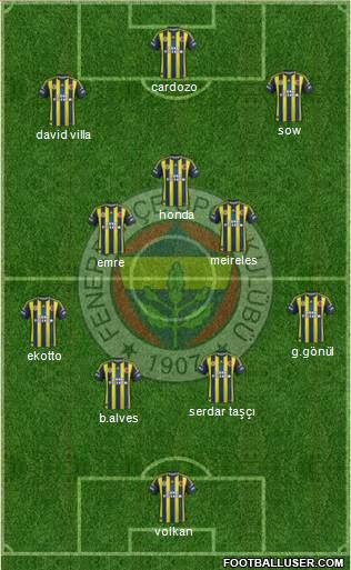Fenerbahçe SK Formation 2013