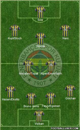 Fenerbahçe SK Formation 2013
