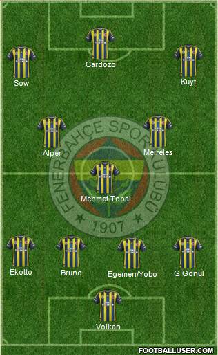 Fenerbahçe SK Formation 2013