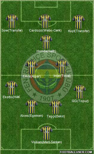 Fenerbahçe SK Formation 2013