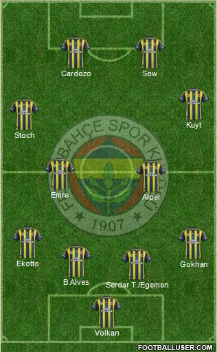 Fenerbahçe SK Formation 2013