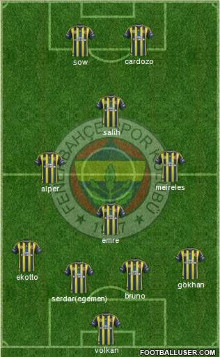 Fenerbahçe SK Formation 2013