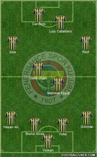 Fenerbahçe SK Formation 2013