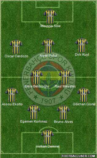 Fenerbahçe SK Formation 2013