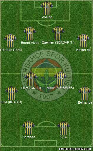 Fenerbahçe SK Formation 2013