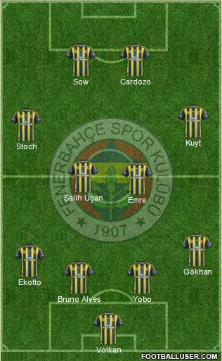 Fenerbahçe SK Formation 2013
