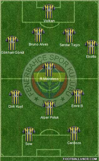 Fenerbahçe SK Formation 2013