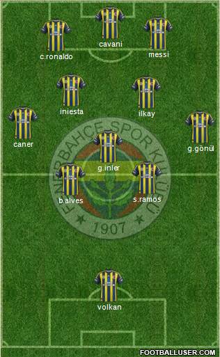 Fenerbahçe SK Formation 2013