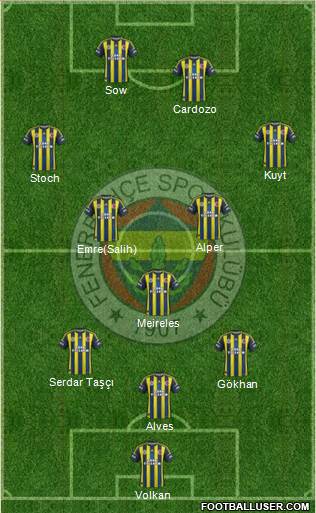 Fenerbahçe SK Formation 2013