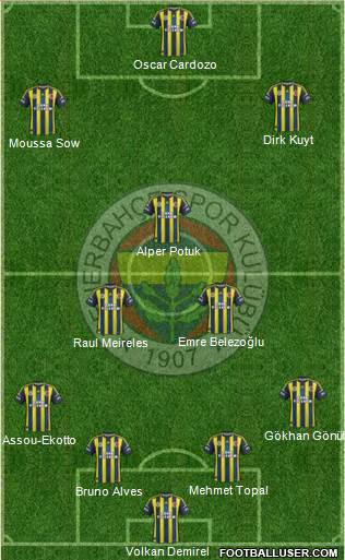 Fenerbahçe SK Formation 2013