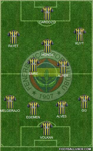 Fenerbahçe SK Formation 2013