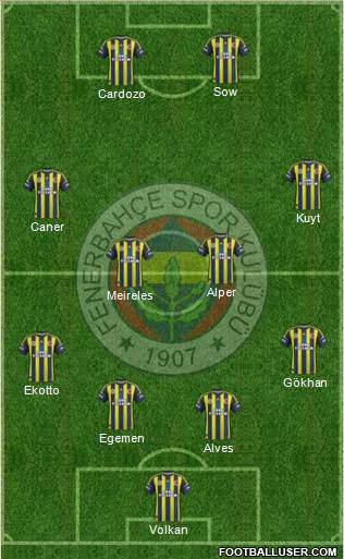 Fenerbahçe SK Formation 2013