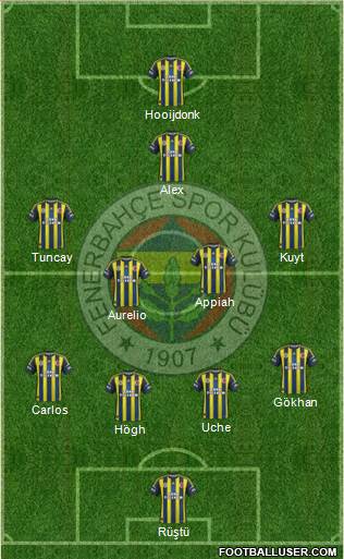 Fenerbahçe SK Formation 2013