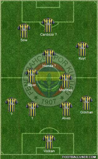 Fenerbahçe SK Formation 2013