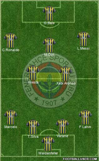 Fenerbahçe SK Formation 2013
