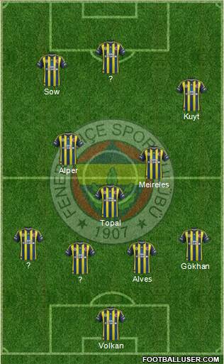 Fenerbahçe SK Formation 2013