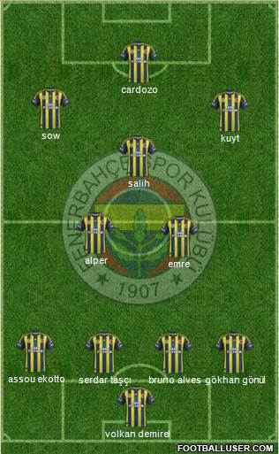 Fenerbahçe SK Formation 2013