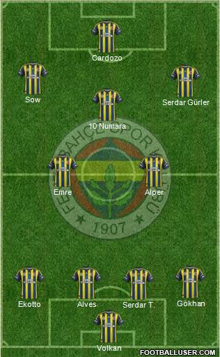 Fenerbahçe SK Formation 2013