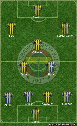 Fenerbahçe SK Formation 2013