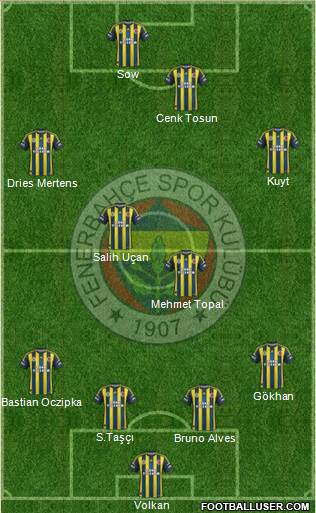 Fenerbahçe SK Formation 2013