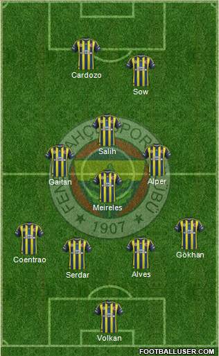 Fenerbahçe SK Formation 2013