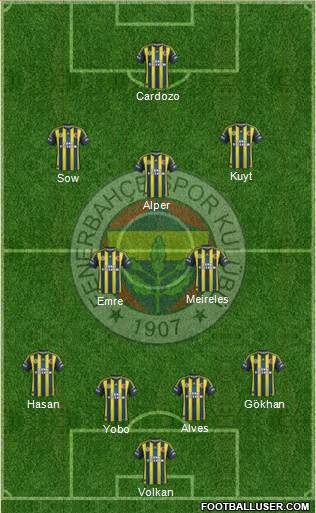 Fenerbahçe SK Formation 2013