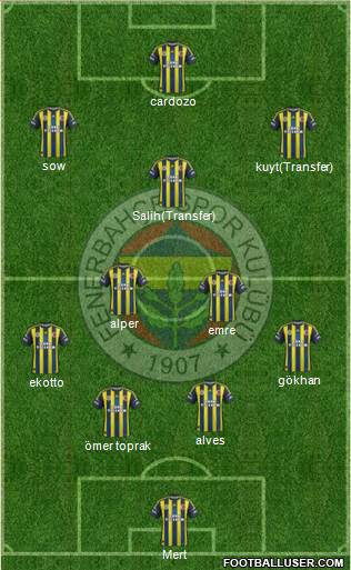 Fenerbahçe SK Formation 2013