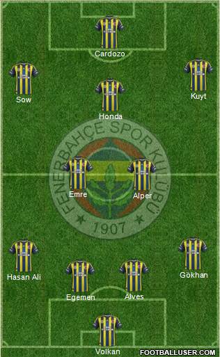 Fenerbahçe SK Formation 2013