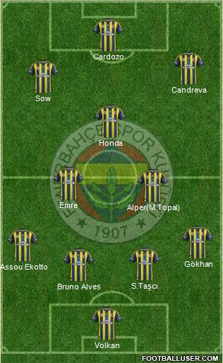 Fenerbahçe SK Formation 2013