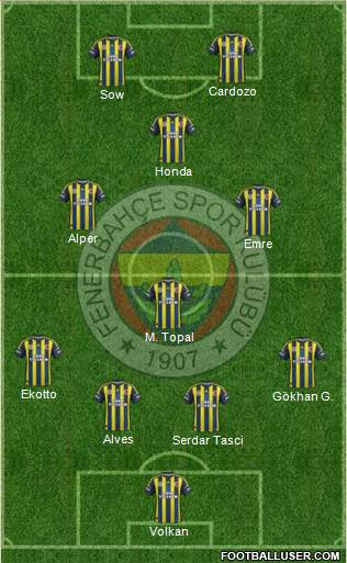 Fenerbahçe SK Formation 2013