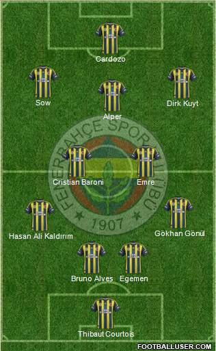 Fenerbahçe SK Formation 2013