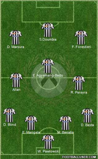 Udinese Formation 2013