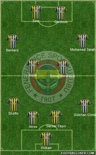 Fenerbahçe SK Formation 2013