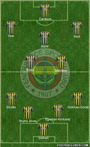 Fenerbahçe SK Formation 2013