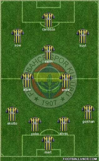 Fenerbahçe SK Formation 2013