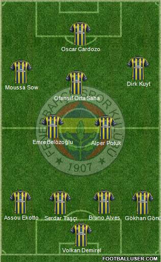 Fenerbahçe SK Formation 2013