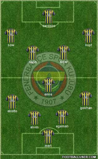 Fenerbahçe SK Formation 2013