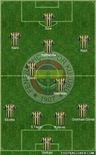 Fenerbahçe SK Formation 2013