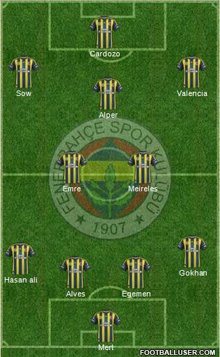 Fenerbahçe SK Formation 2013