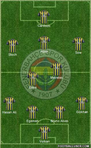 Fenerbahçe SK Formation 2013