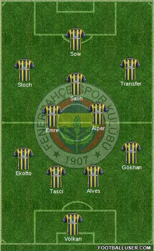 Fenerbahçe SK Formation 2013